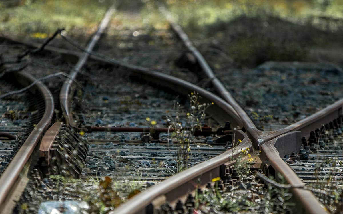 REVM simulations are represented by tracks